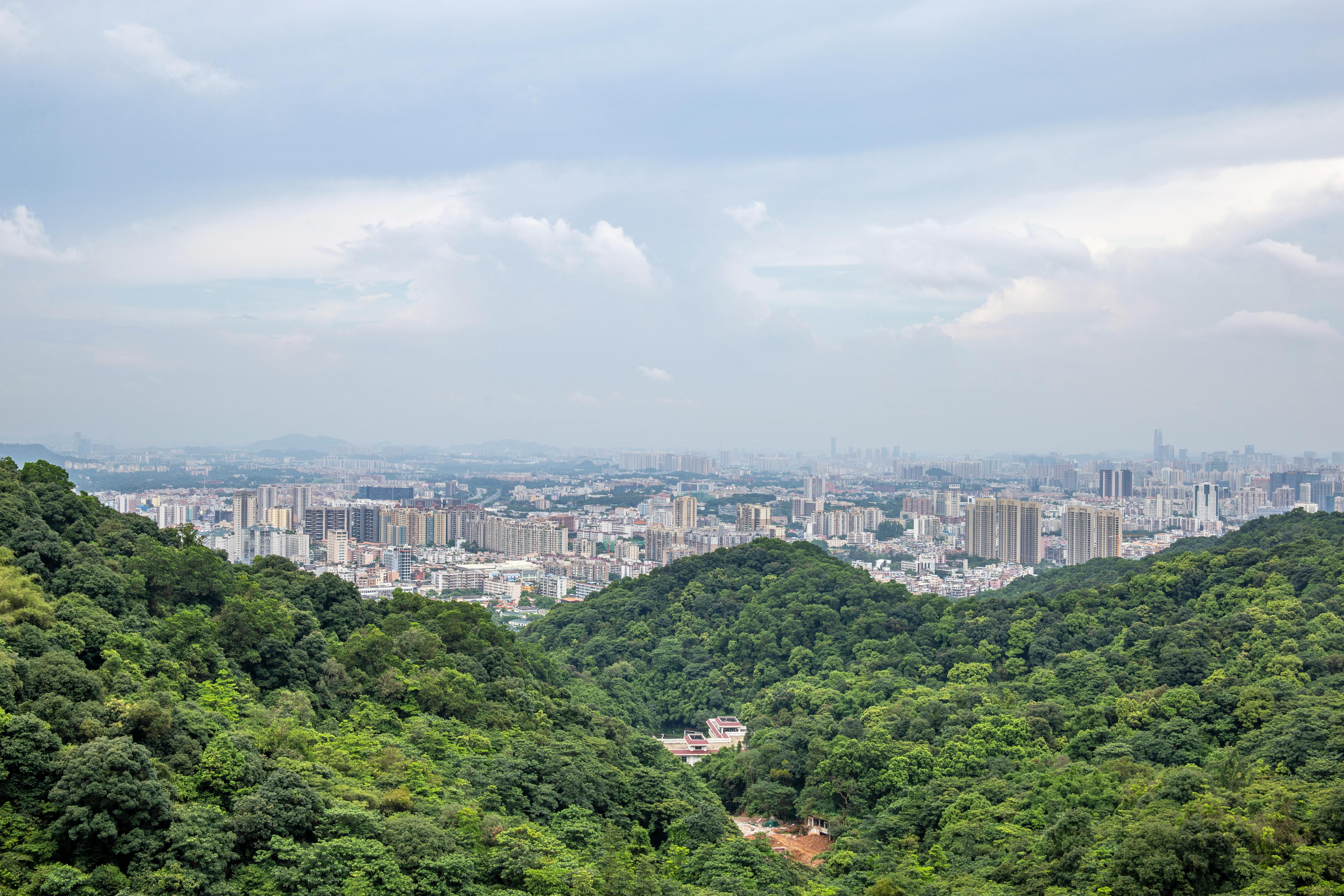 Chongqing Rises as Top Dual Destination in China’s New Year Travel Surge — Photo by fei wang on Pexels