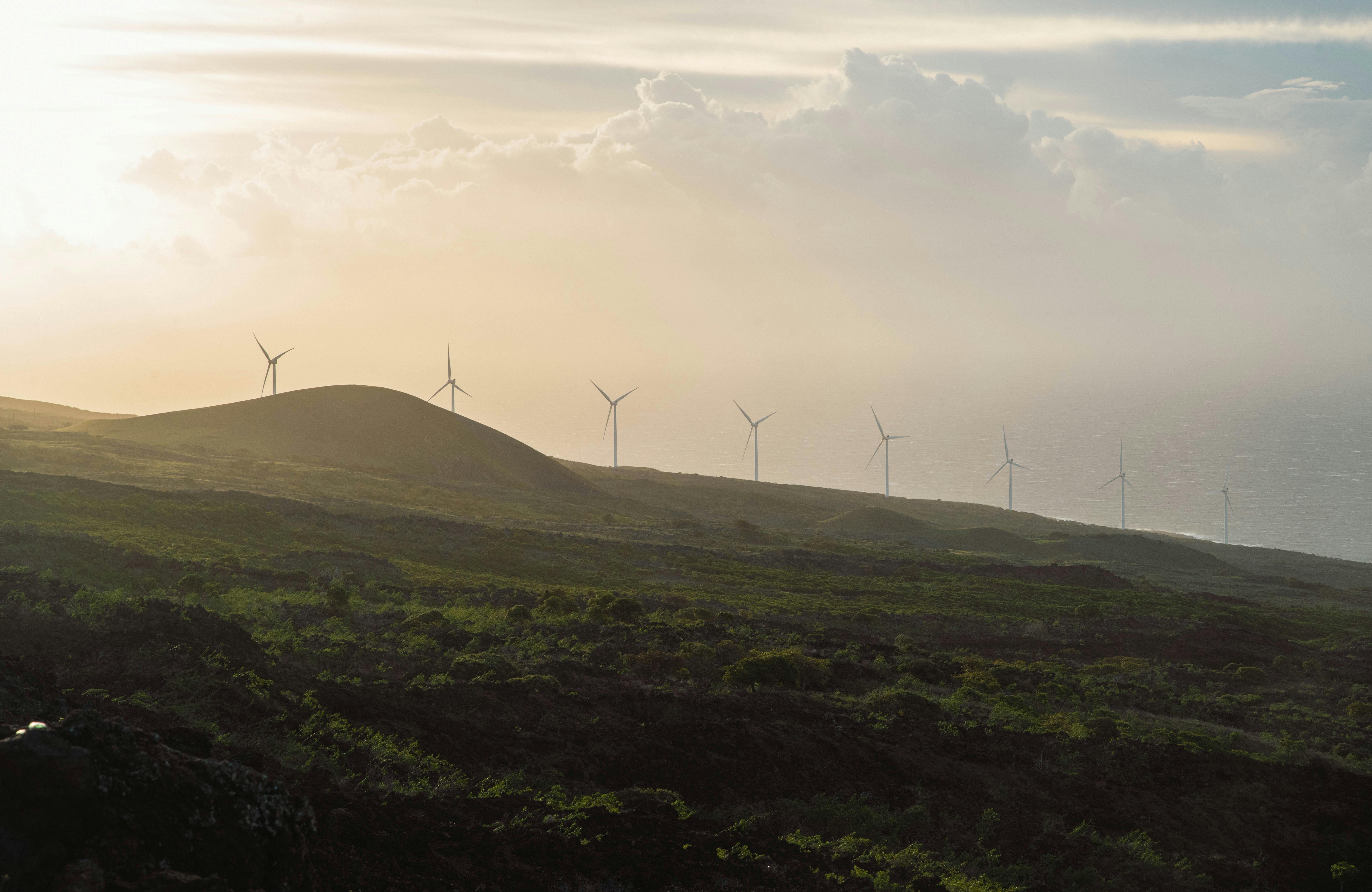 Mauritania Advances Green Hydrogen Ambitions with AfDB-Supported