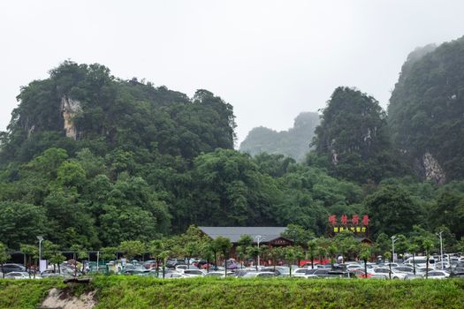 Cars in Parking Lot among Lush Vegetation