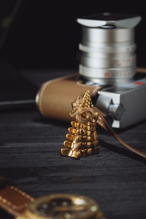Free Golden snake ouroboros ring showcased in detailed close-up beside camera equipment. Stock Photo