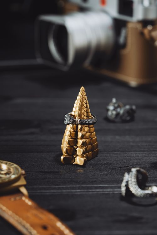 Free Elegantly crafted silver dragon ring showcased in a vertical shot with artistic focus. Stock Photo