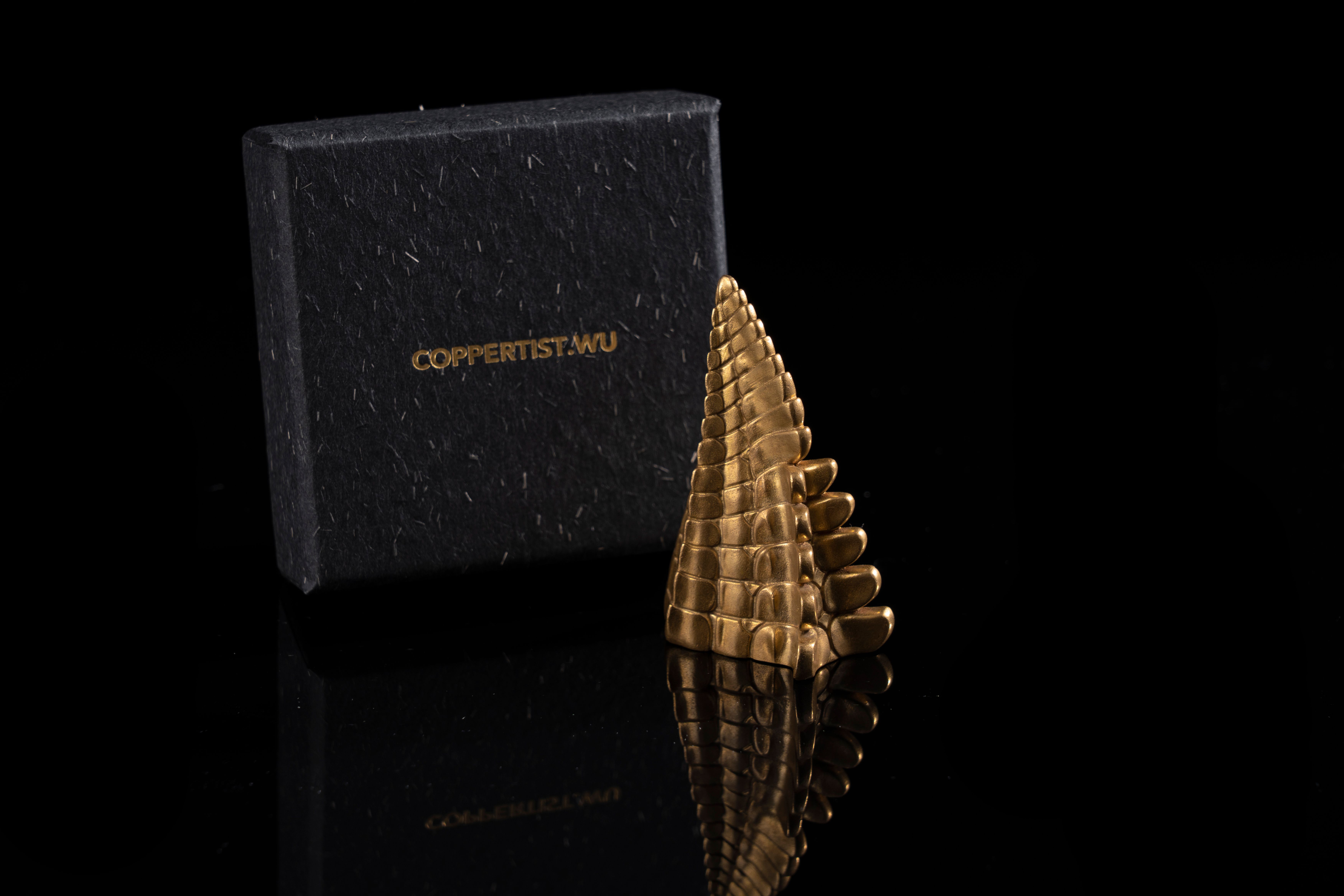 Elegant golden dragon tail shaped jewelry with packaging on a black backdrop.