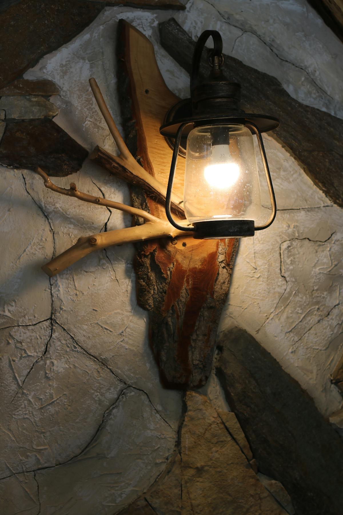 Hammer Coral – Gold/Green