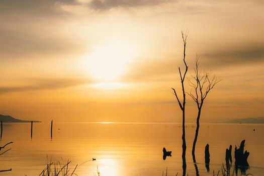 Stunning golden sunrise over Lake Jocotepec with tree silhouettes reflecting on the water.