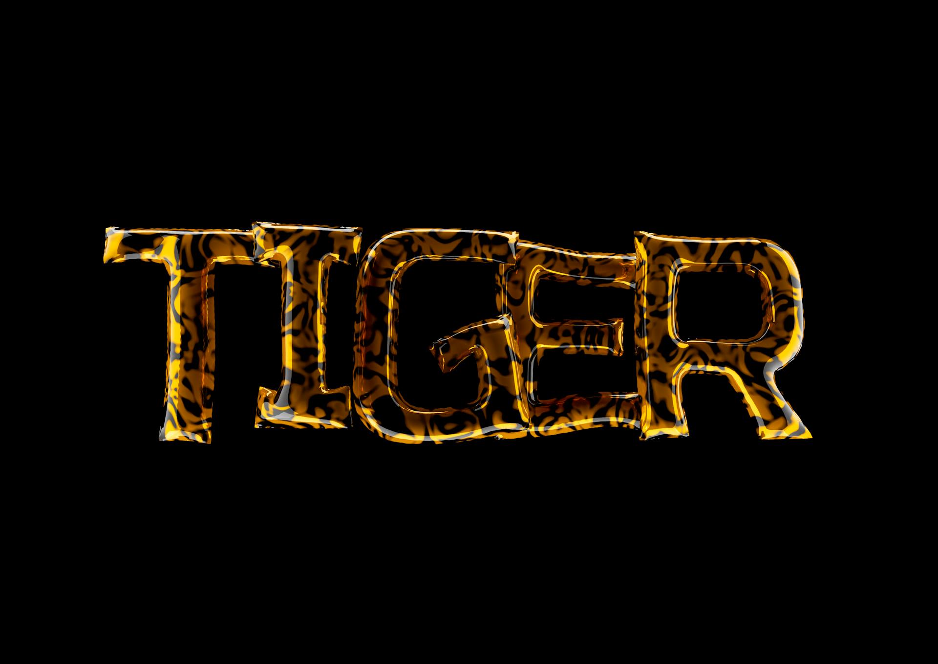 Stylized 3D text with tiger print texture on a black background.