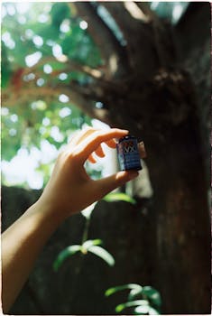 A hand delicately holds a film cartridge amidst natural sunlight and foliage.