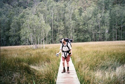 Free Adult male hiker on a footbridge in Cowan, NSW, surrounded by lush forest greenery. Stock Photo