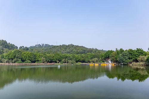 Free A serene lake view with lush forest reflection, perfect for nature lovers. Stock Photo