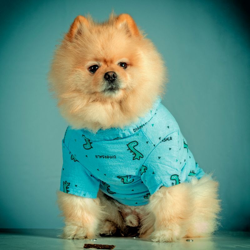 Casinha Plástica para Cães nº 3