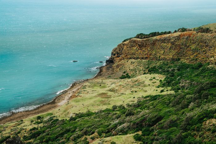 Green coastal headland above a turquoise sea — photo by Mitchell Henderson on Pexels