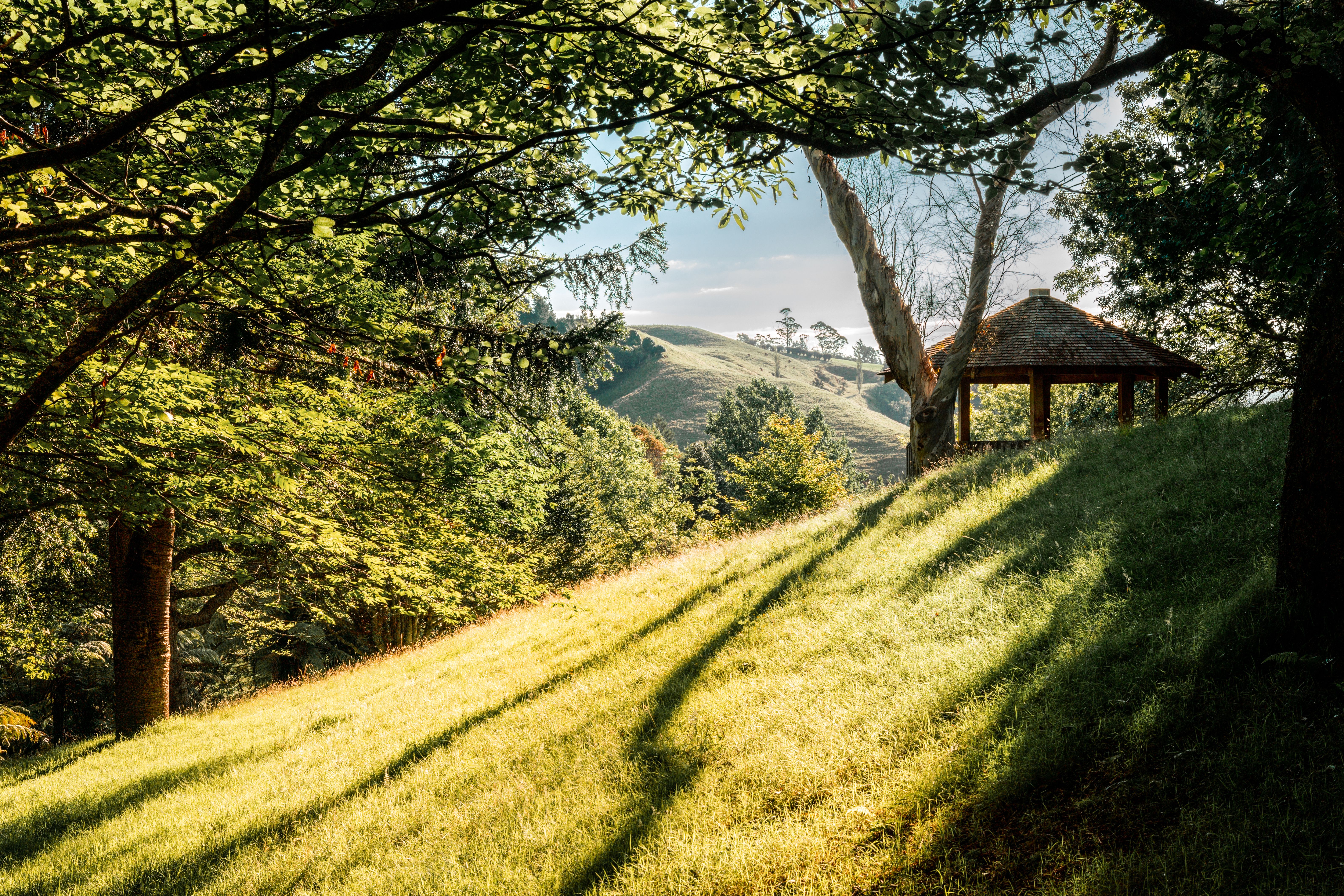 Grassy garden slope beneath mature trees with a small structure at the top