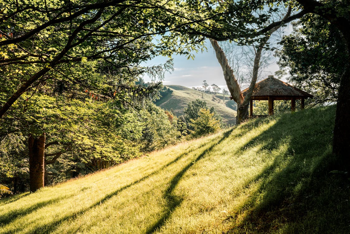 Forest Gazebo on a Hill