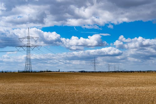 View of a Cropland and Utility Poles under Blue Sky with White Clouds 