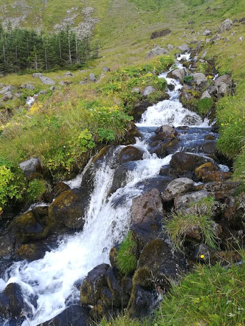 Free stock photo of green grass, water, waterfall