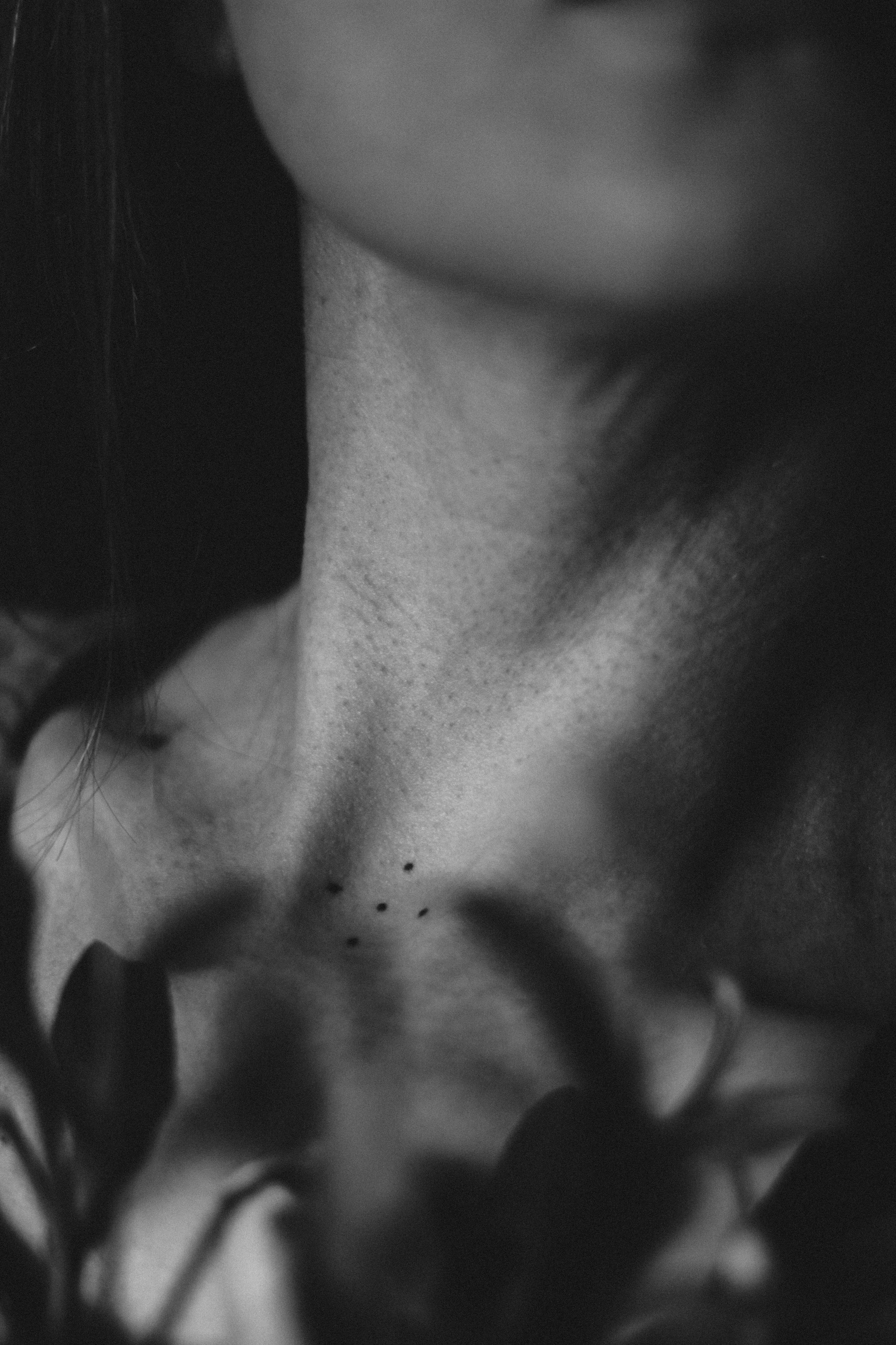 Close-up of Flowers Shadow on Woman Body · Free Stock Photo