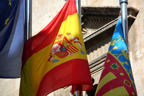 Close-up of Flags on the Background of a Building 