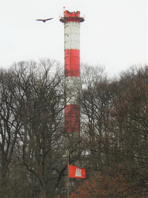 Fotobanka s bezplatnými fotkami na tému Hamburg, leuchtturm, maják