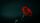 dark romance