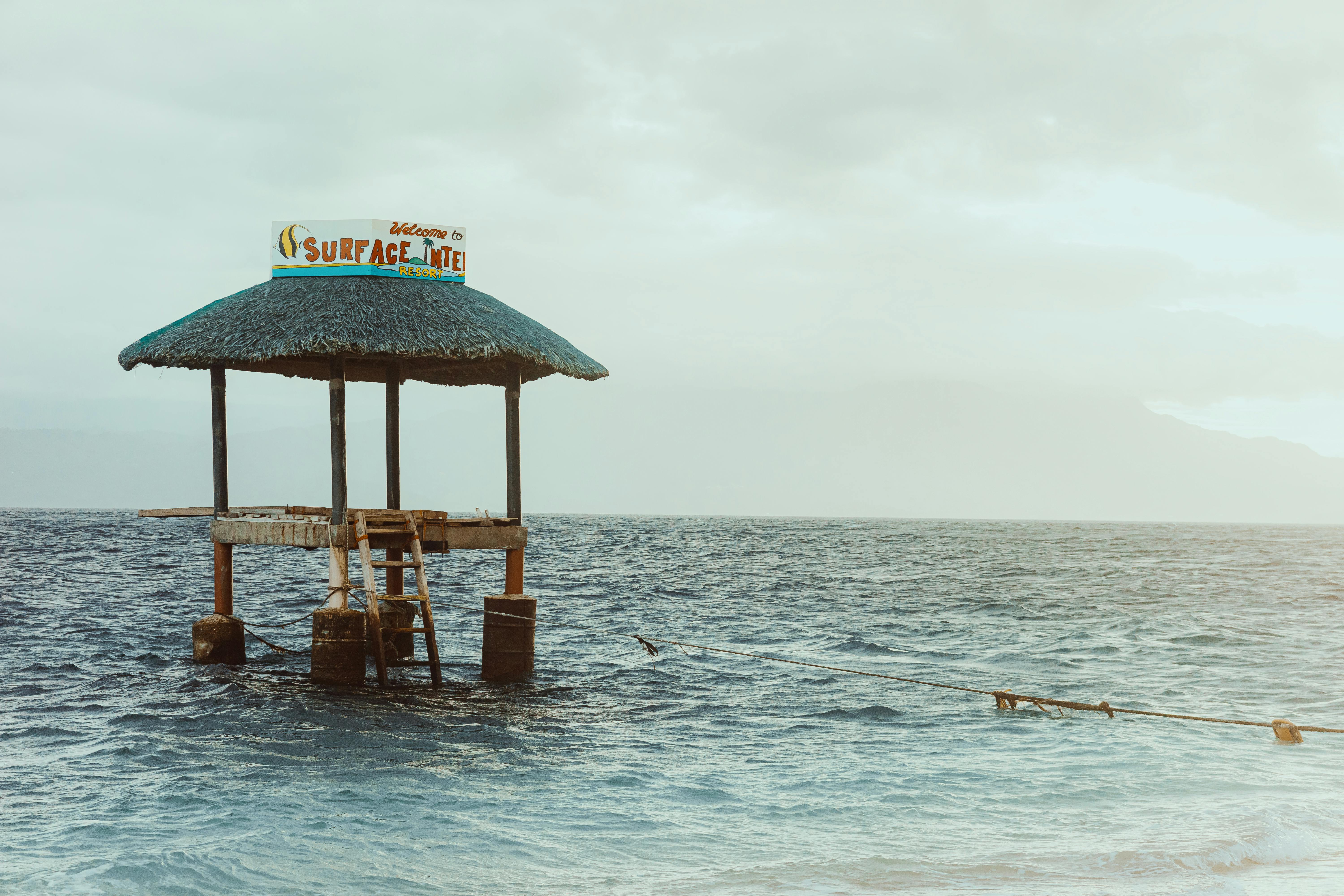 Image related to Surfside Elects New Mayor and 4 Town Commissioners