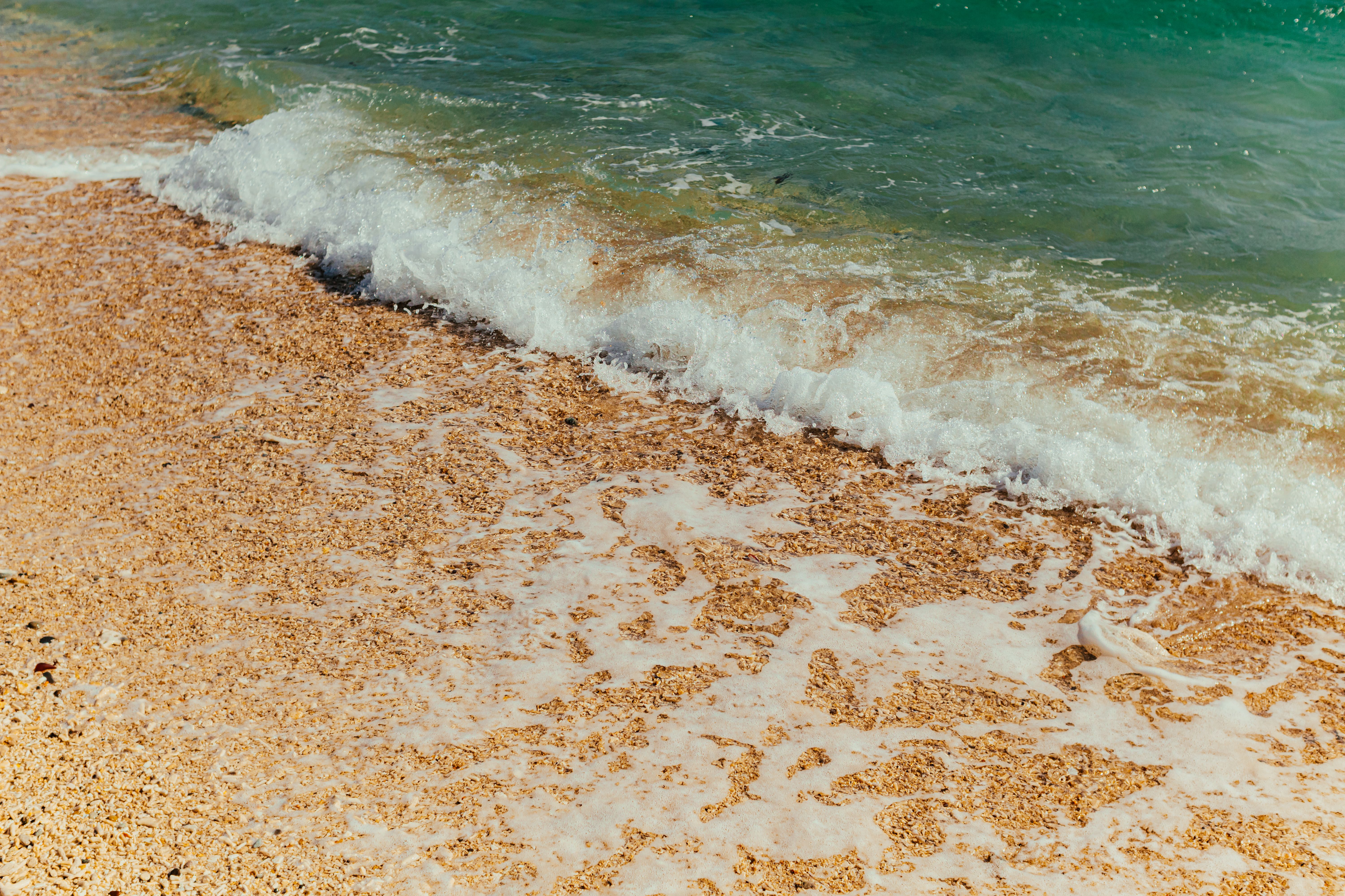 Foamy Waves Washing up the Beach · Free Stock Photo