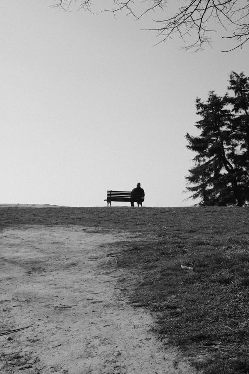 Free Silhouette of a person sitting alone on a park bench in a serene countryside setting. Stock Photo
