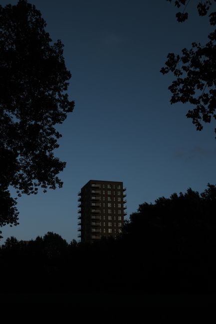Silhouette of a skyscraper framed by trees against a dark night sky.