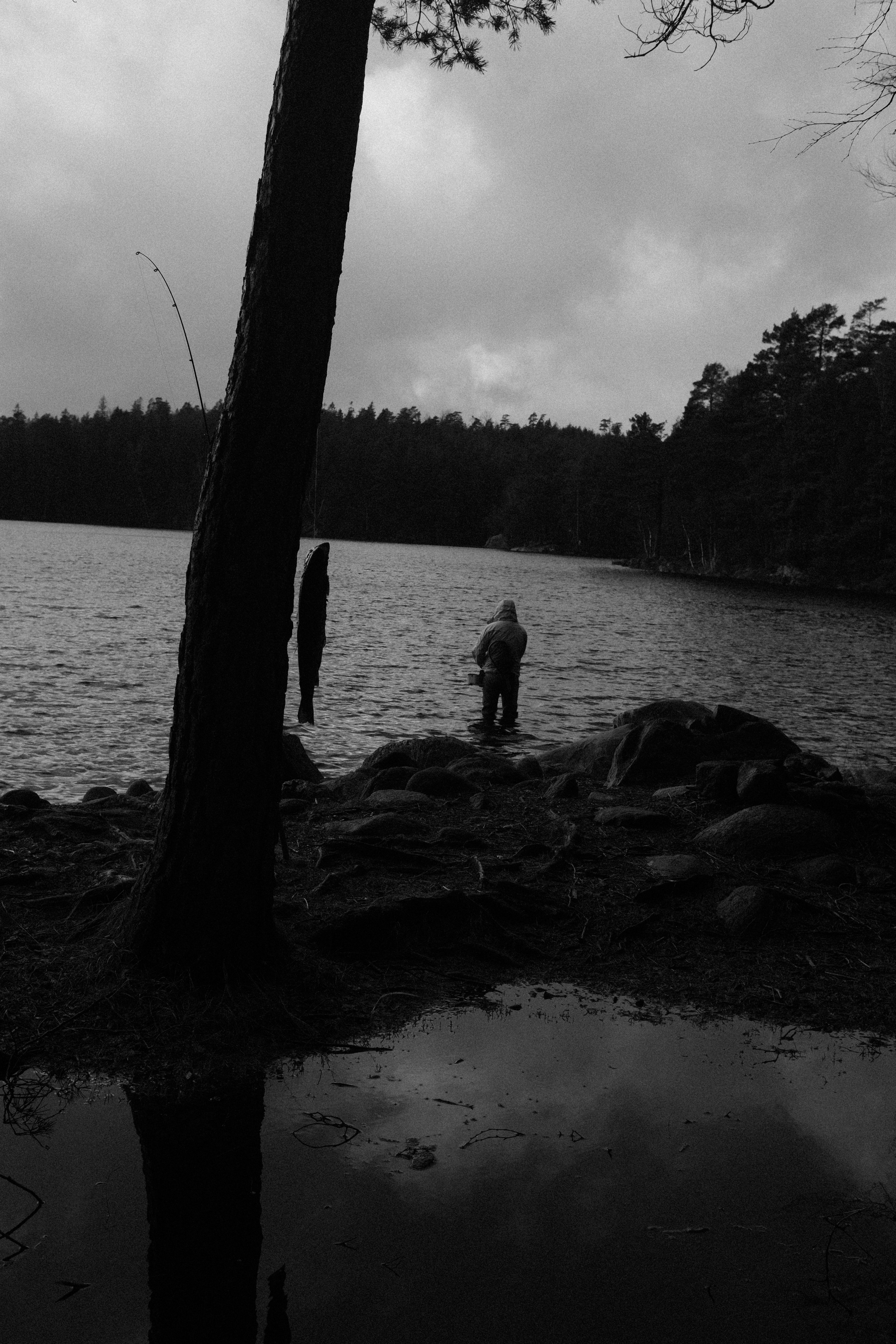 A lone fisherman stands by a lake, framed by trees in a moody black and white landscape.