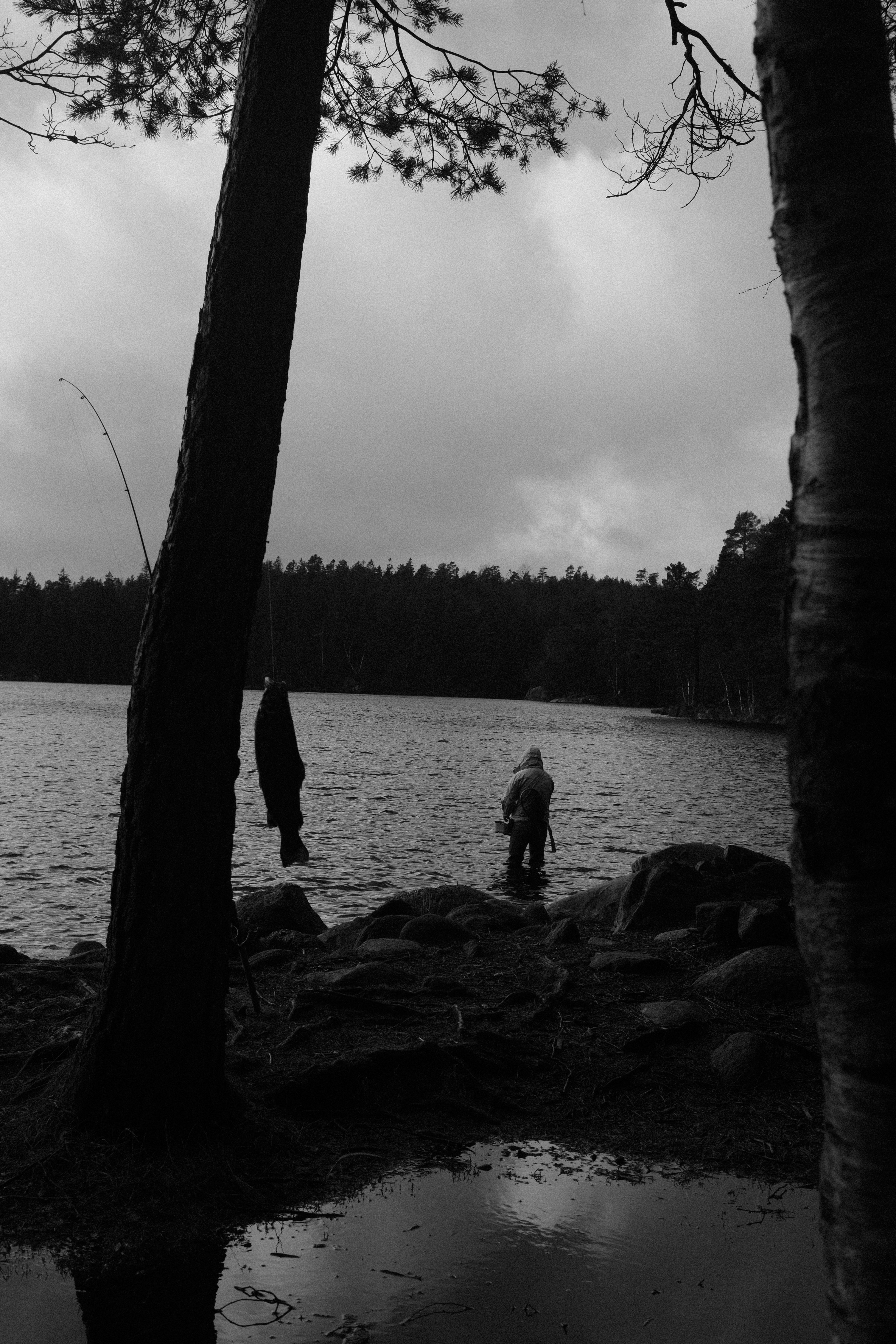 A peaceful scene of a person fishing by a river in a forested wilderness, captured in black and white.