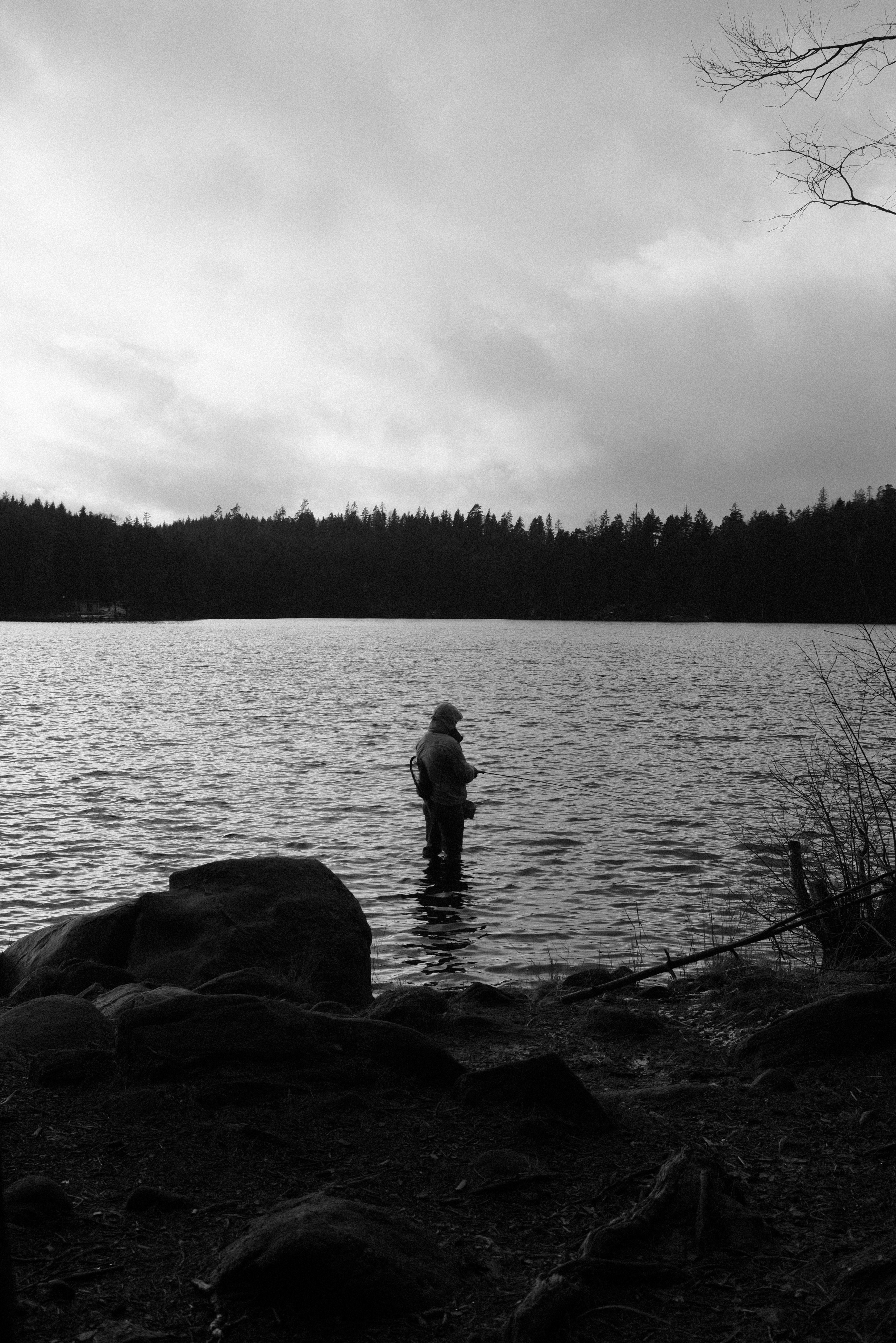 A lone fisherman stands at the lake's edge under a cloudy sky, surrounded by serene nature.
