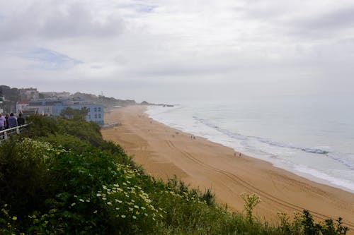 Scenic View of the Beach 