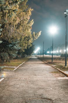 Peaceful night scene of an illuminated urban park pathway under streetlights with trees lining the sidewalk.