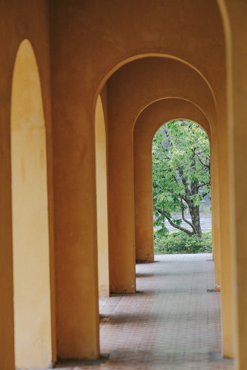 Foto d'estoc gratuïta de arc, arcada, arcs