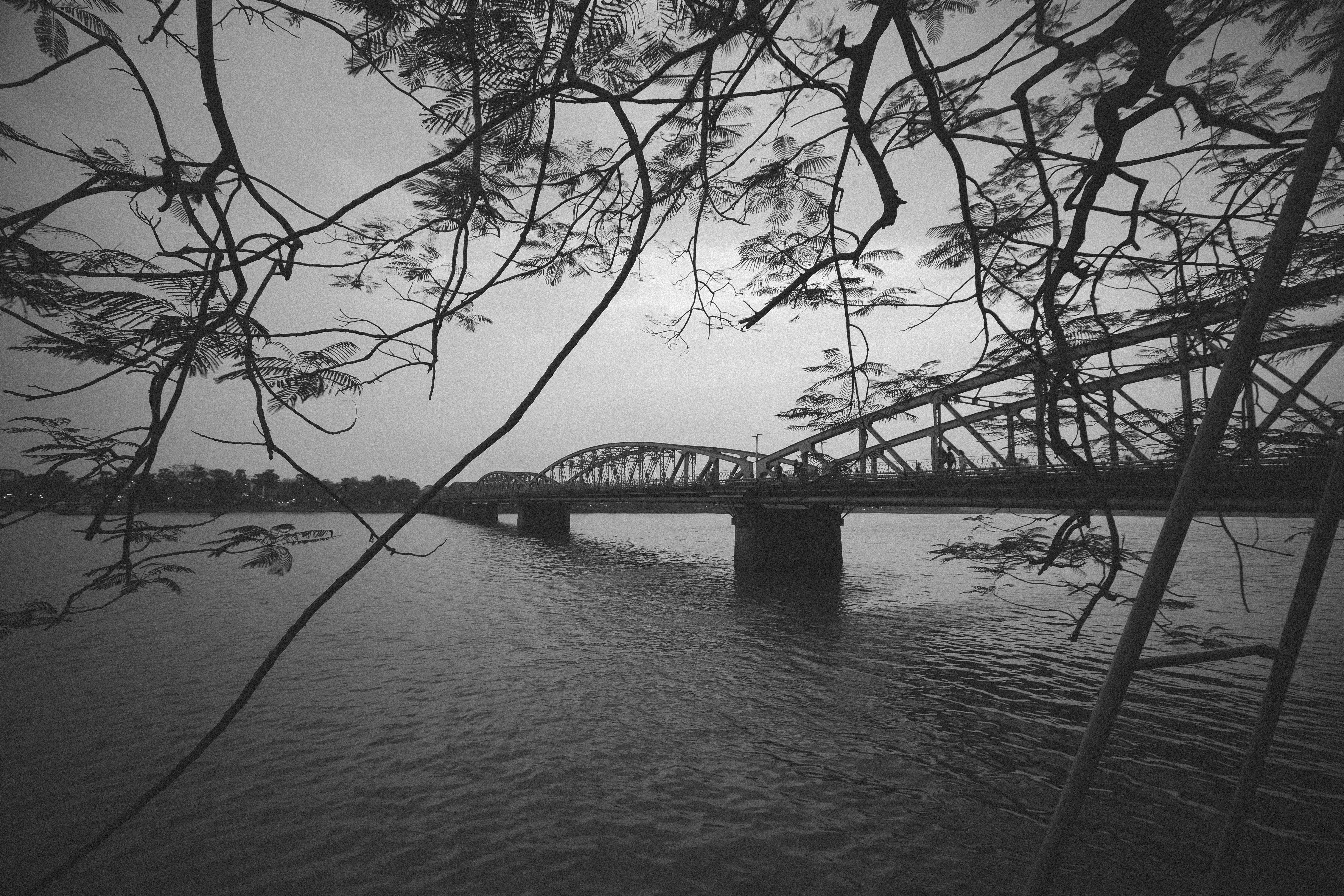 Black and White Photo of a Bridge over a River and Tree Branches in ...