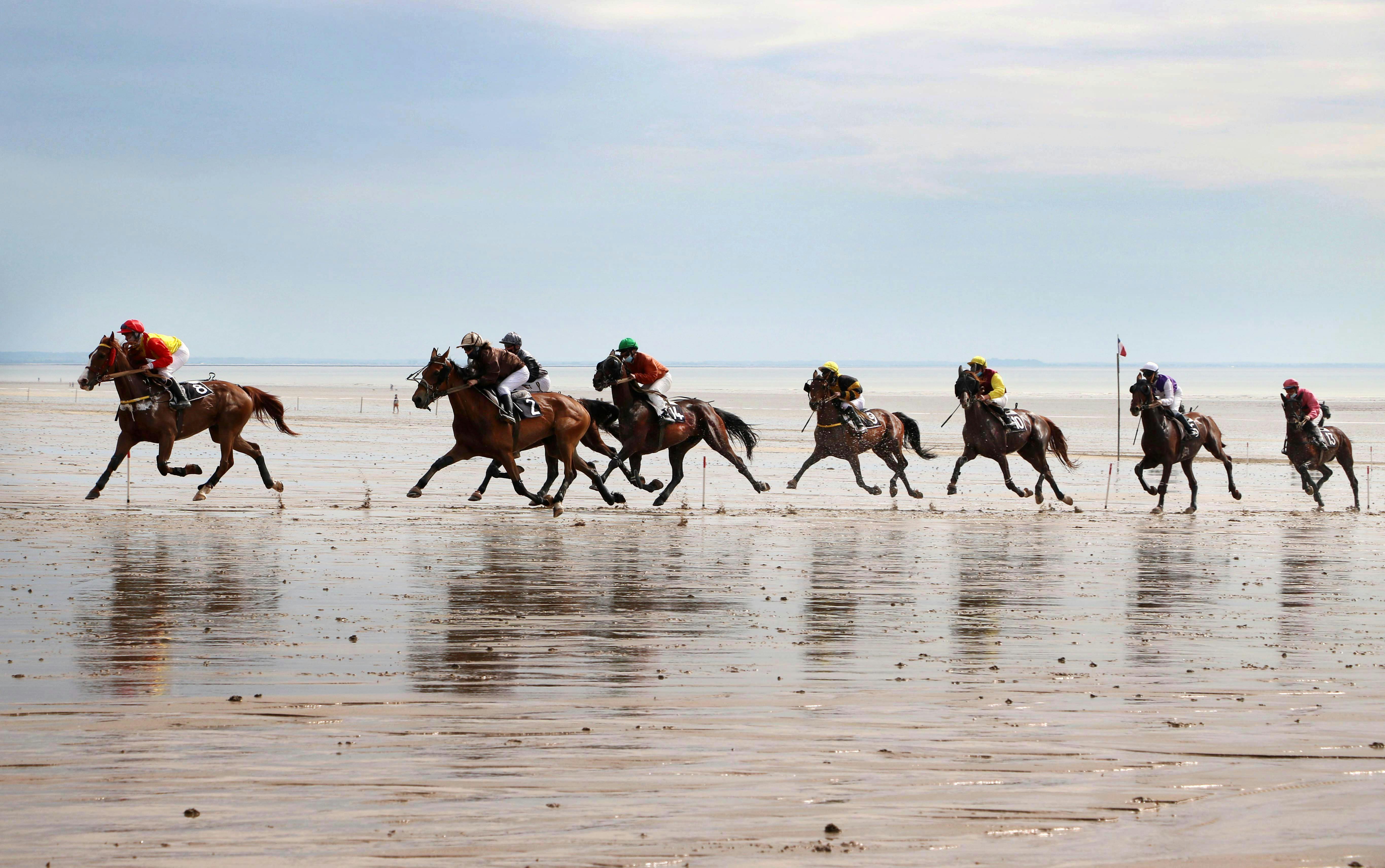 Free Course de chevaux sur la plage Stock Photo
