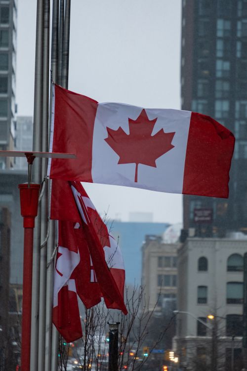Free Vertical shot of Canadian flags waving in downtown city against modern buildings. Stock Photo
