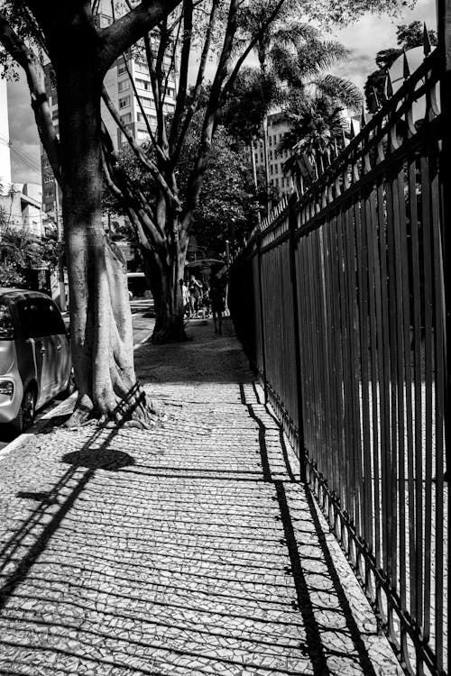 人行道, 單色, 围栏 的 免费素材图片
