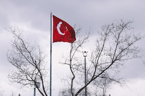 Darmowe zdjęcie z galerii z drzewo, flaga turcji, niebo