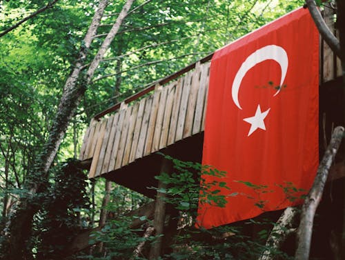 Flag of Turkey on Wooden Wall in Forest