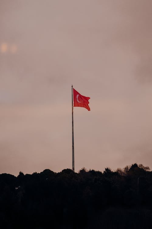 Foto d'estoc gratuïta de bandera de turquia, identitat, pal de bandera