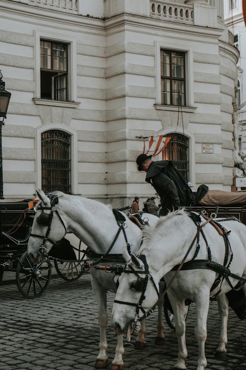 Бесплатное стоковое фото с vibey, Австрия, автомобиль