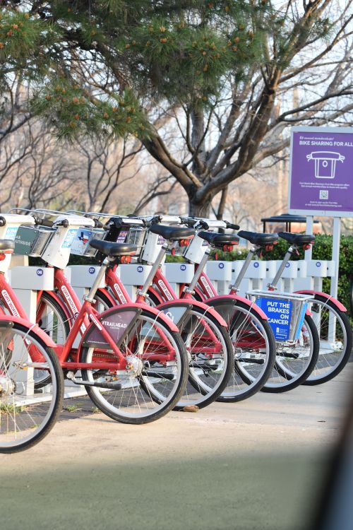Free City rental bicycles lined up outdoors, ready for public use in a bike-sharing program. Stock Photo
