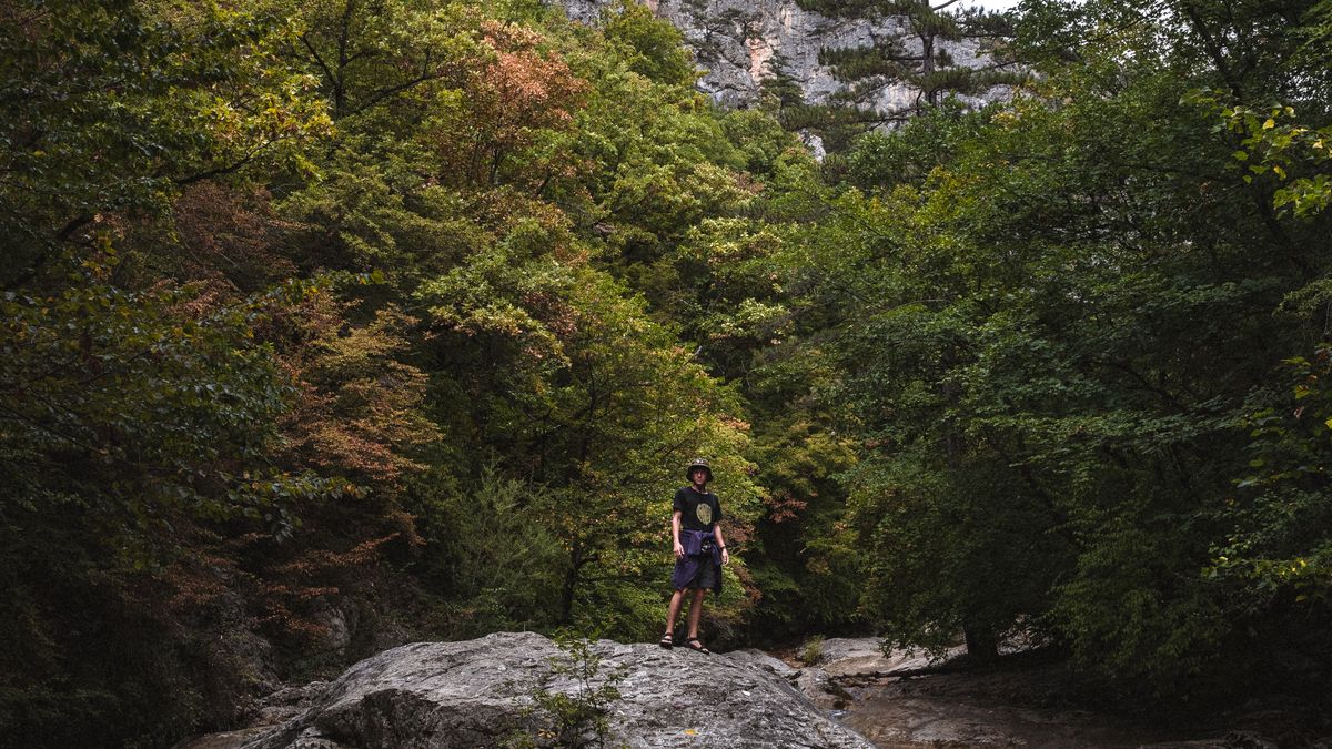 Itinéraires de randonnée dans le parc national des Cévennes - illustration