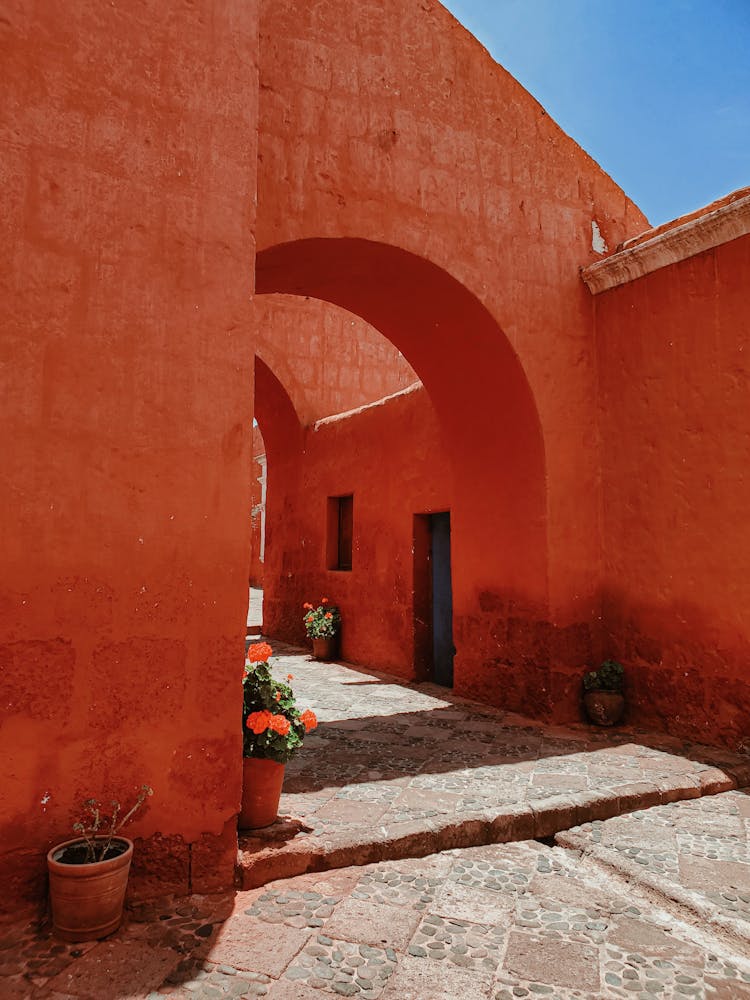 Yard In Traditional Desert Red Houses