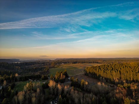 Aerial view of Lacey, WA countryside with pine trees and a vibrant sky at sunset.