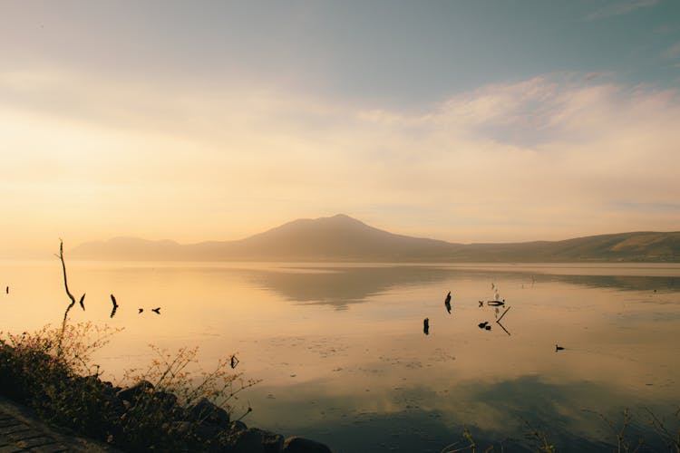 Fog Above Lake In Nature Landscape At Dawn