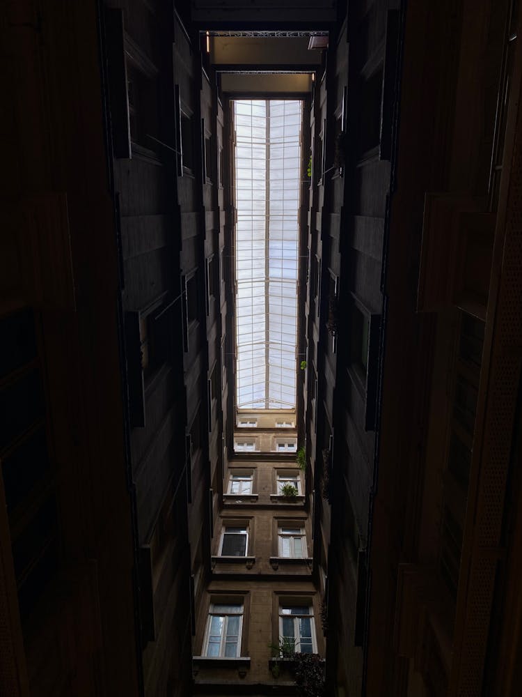 View From Houses Yard On Glass Ceiling