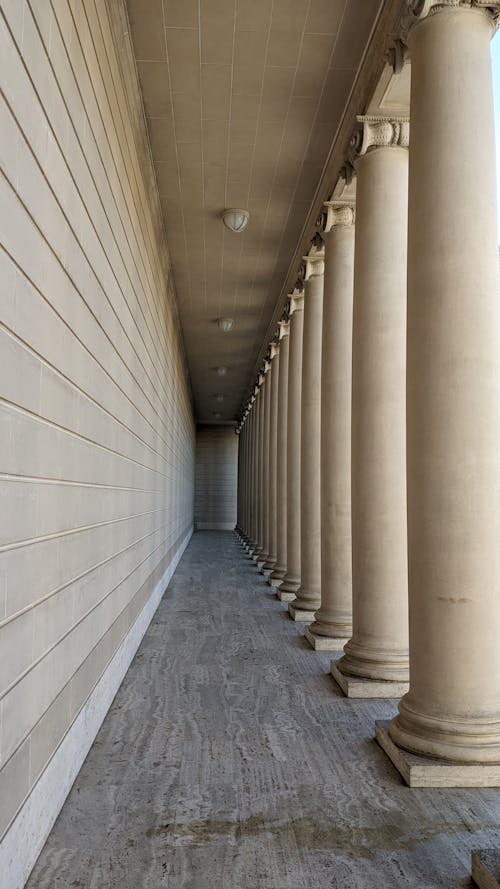 Foto profissional grátis de arquitetura neoclássica, colunas, colunata