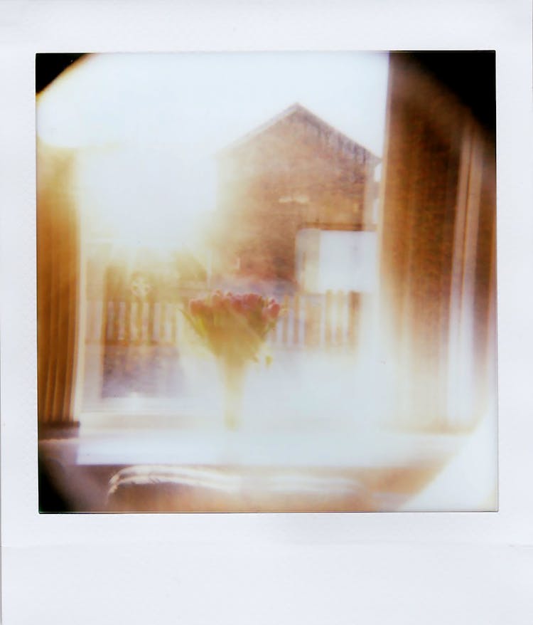 Object On Sun On Polaroid Shot