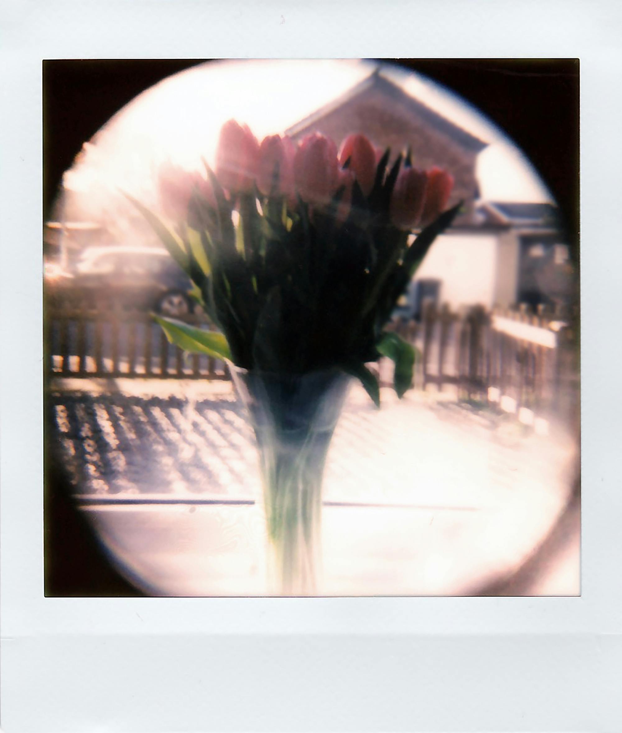 Vintage-style polaroid of tulips in a vase with a blurred outdoor background.