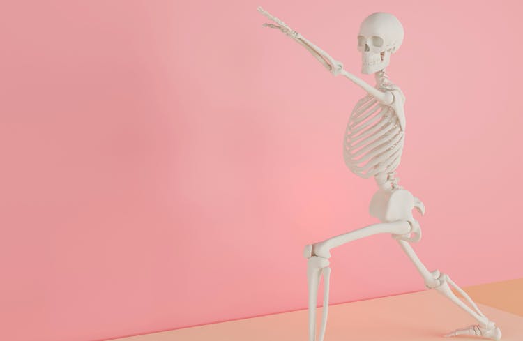 Human Skeleton Stretching In Pink Studio